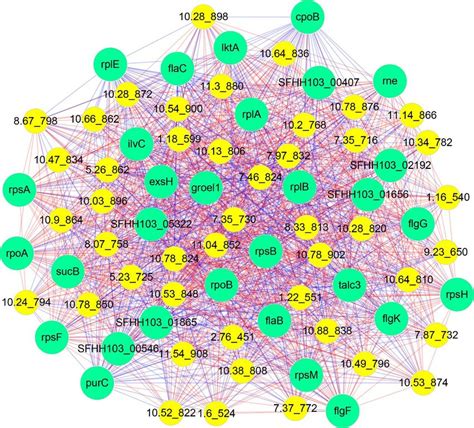 Fig S5 Network Of Correlation Analysis Between Significantly Download Scientific Diagram