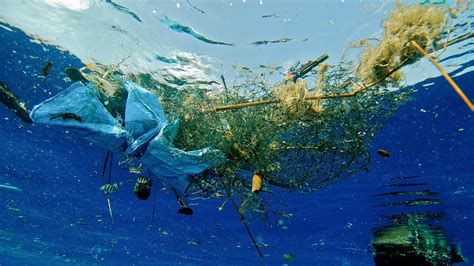 ¿cómo Es Realmente La Isla De Plástico Que Hay En El Océano Pacífico