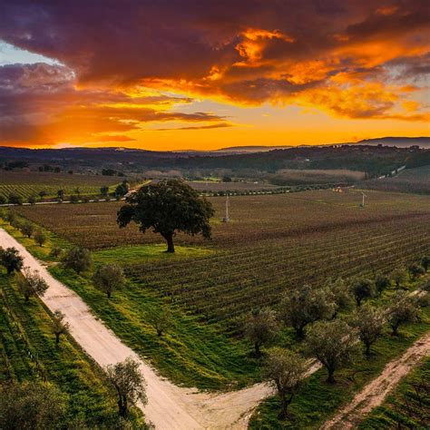 Paço Dos Cunhas Casa De Santar Vinhos em Marque a sua visita