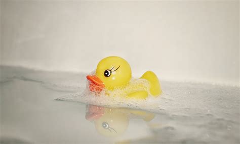 Rubber Duck in Bath · Free Stock Photo