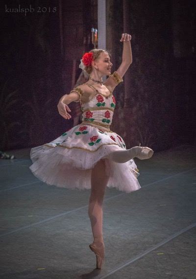 Pin By Karen Goument On Ballet Dance Outfits Dancer Wear Ballet