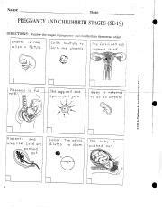 Pregnancy And Childbirth Stages Se 19 Answers