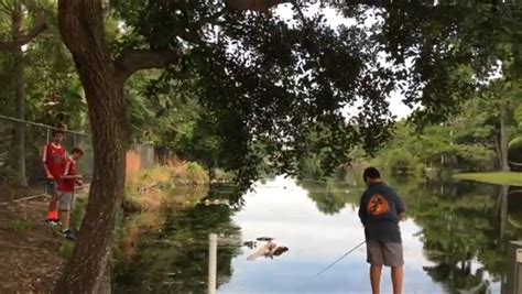 JOSH GOES FISHING: South Florida Canal Fishing