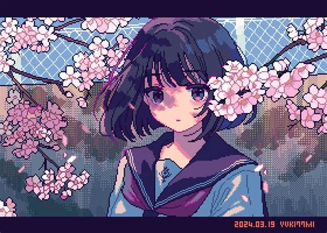 vstreca sredi vetvei sakury artist anime art pixel art