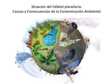 Contaminación Ambiental Causas Y Consecuencias