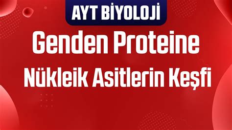 Genden Proteine N Kleik Asitlerin Ke Fi Youtube