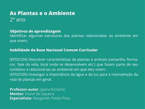 Plano de Aula 2º ano Ciências As Plantas e o Ambiente