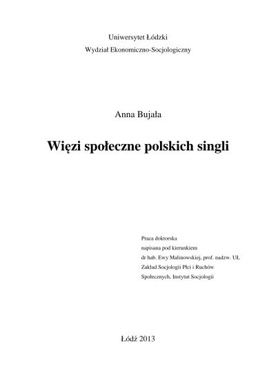 Pytania badawcze i hipotezy Teoretyczne i metodologiczne założenia pracy