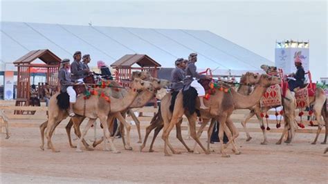 الهجانة السلطانية تختتم مشاركاتها في مهرجان الملك عبد العزيز للإبل