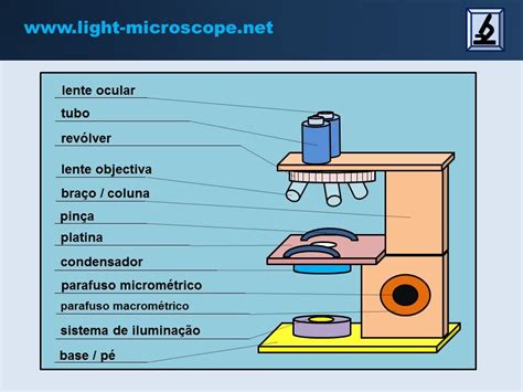 Microscopio E Suas Partes