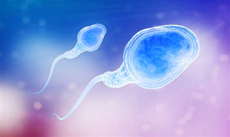 10 Interesting Facts About Sperm To Men Do Not Know