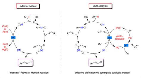 General Mechanisms For C H Activation Catalysis Involving Different