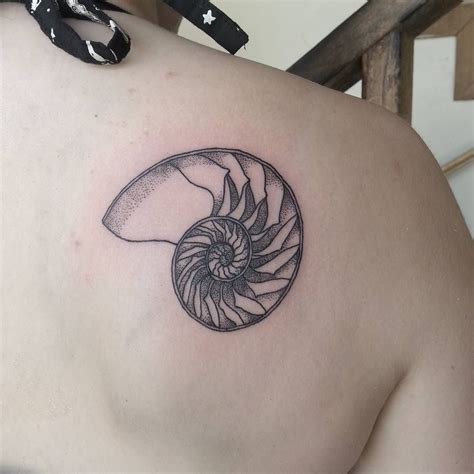 summer breeze on Instagram: “Delicate nautilus shell illustration style tattoo for Rebecca's ...