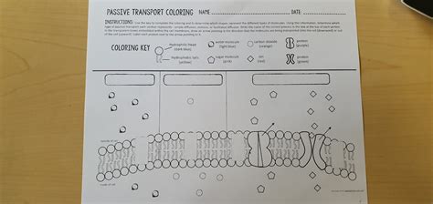 Curso Biología Y Cs Terrestres Tareas Libreta Interactiva 10 4