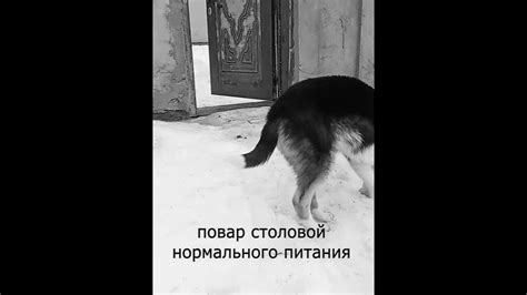 Собачье сердце 2 серия - YouTube