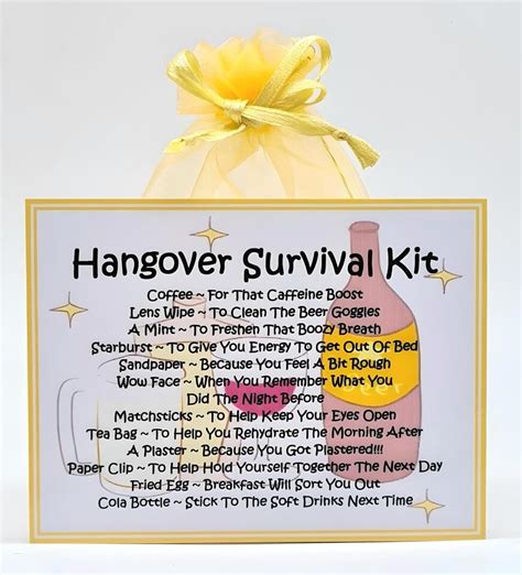 Hangover Survival Kit Fun Novelty Keepsake Gift Greetings Card EBay