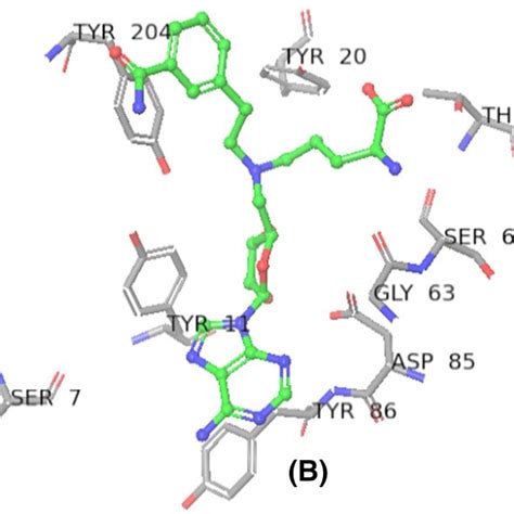 Binding Site Residues A Binding Site Residues Of Protein Bonding