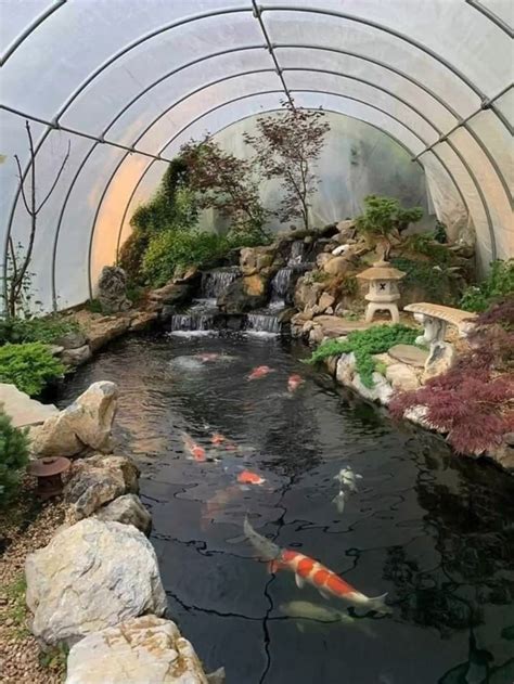 Koi pond aesthetic | greenhouse ideas | Garden pond design, Fish pond ...