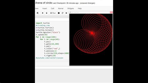 Arena Of Circle In Python Turtle Library Youtube