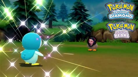 Only 42 Encounters For Shiny Piplup In Pokemon Brilliant Diamond And Shining Pearl Youtube