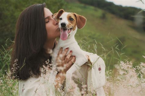 1000 Great Pet Photos · Pexels · Free Stock Photos