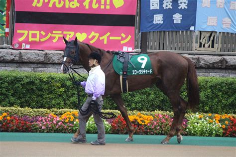 第21回東京スポーツ杯2歳ステークス 写真集 競馬つらつら