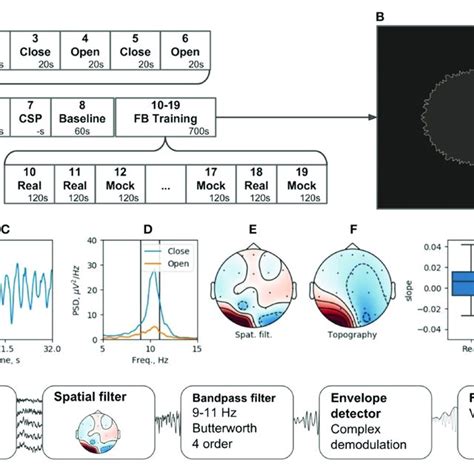 Neurofeedback Training Experiment Example A Experimental Protocol