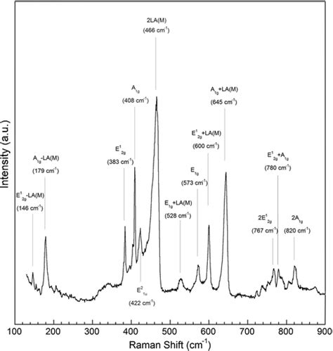 A Raman Spectroscopic Study Of MoS2 And MoO3 Applications To