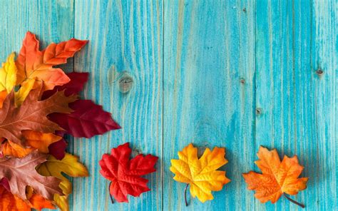 Top 999 Cute Fall Wallpaper Full Hd 4k Free To Use