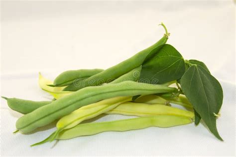 Yellow and Green Beans on a White Background. Stock Image - Image of ...