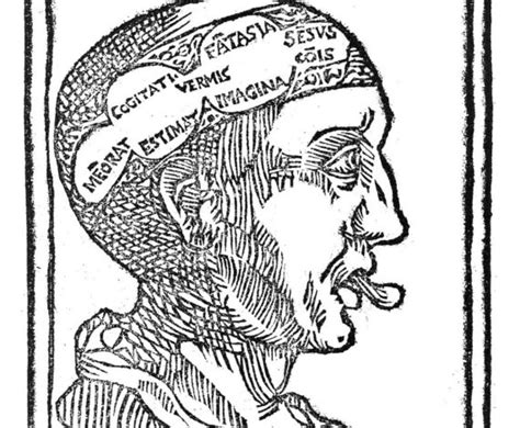 Law And Mental Competency In Late Medieval England