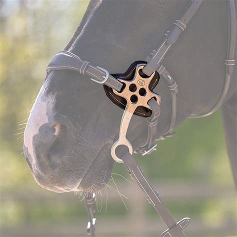 Hackamore Protection 0093