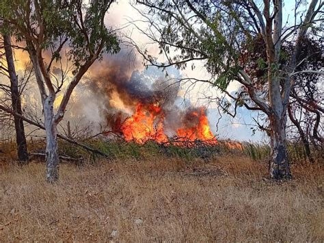 Incendi Puglia In Fiamme Il Bosco Buia A Lequile FOTO