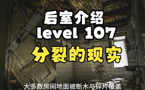 【backrooms 后室】level 107 分裂的现实【介绍】 Gentry月半墙 Gentry月半墙 哔哩哔哩视频