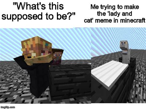 Lady And Cat Meme Template Remade In Miecraft R Minecraftmemes Minecraft Know Your Meme