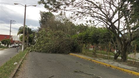 Surada Da A Mil Hect Reas De Cultivos En Coscomatepec E Veracruz Mx