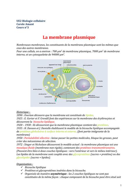 La Membrane Plasmique Ue Biologie Cellulaire Carole Amant Cours N