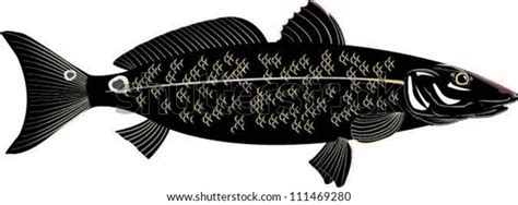 Red Drum Fish Silhouette Stock Vector Royalty Free 111469280