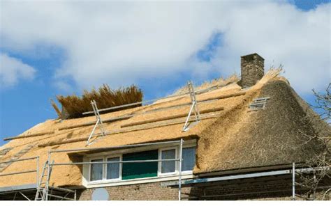 Rethatching A Thatched Roof Everything You Need To Know Village