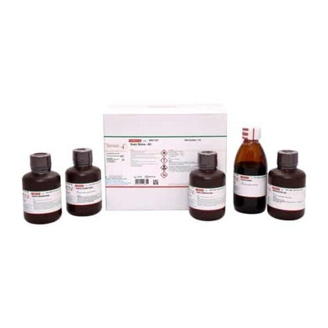 Gram Stain Kits High quality gram stain kits for bacteria differentiation