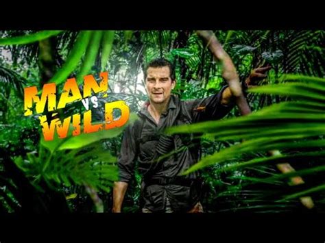 Man Vs Wild In Hindi New Episode Discovery In Hindi Bear