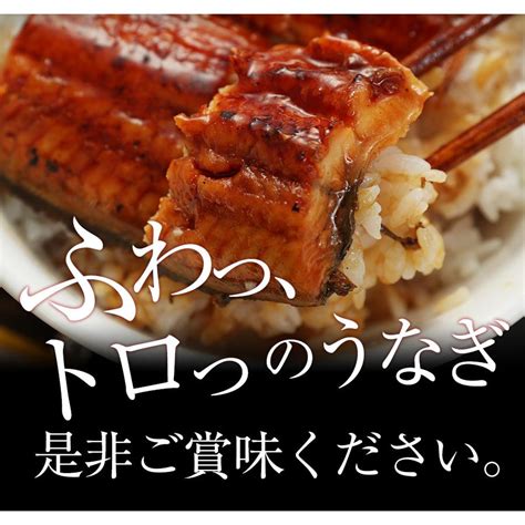 メーカー希望小売価格8480円→6280円 まだ間に合う うなぎ 鰻 松屋 すし松 カットメガ盛り 10人前 丑の日 土用の丑の日 土用の丑