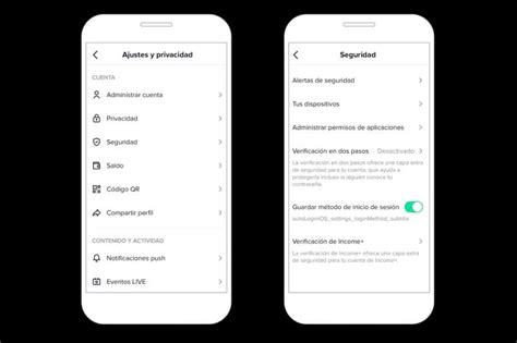 Seguridad En Tiktok Todas Las Claves Que Debes Conocer