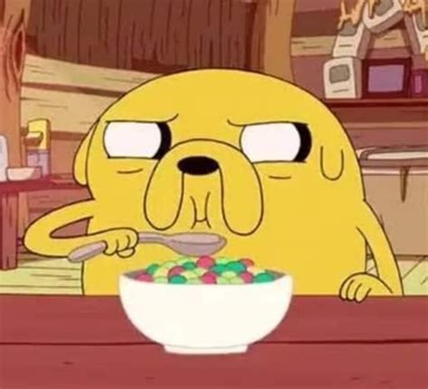 El Perro Comiendo Cereal Con Cuchara V Hora De Aventura Amino Amino