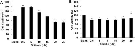 Effect Of Silibinin On Cell Viability The Effects Of Silibinin On Cell