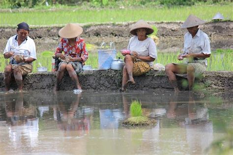 Pemberdayaan Masyarakat Pengertian Prinsip Dan Tujuannya