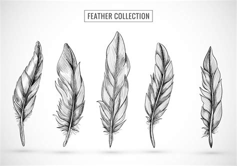 feather drawings easy 3