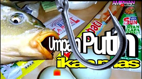 Cara Buat Racikan Umpan Putih Untuk Ikan Mas Mancing Mania Youtube