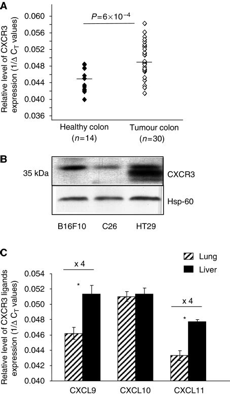 Expression Of Cxcr3 In Human And Mouse Colon Carcinoma A