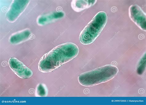 Haemophilus Influenzae Bacteria 3d Illustration Stock Illustration Illustration Of Bacteria